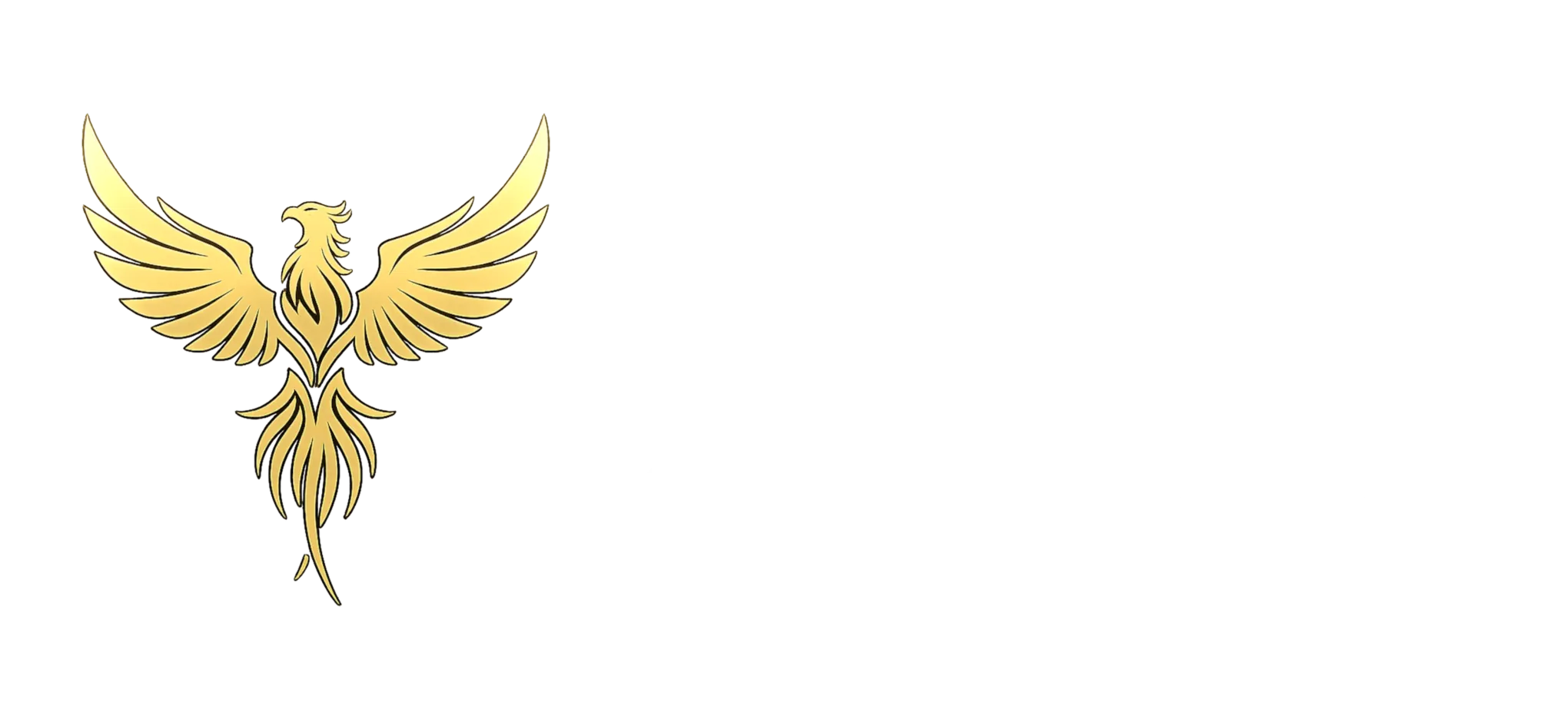 Fenix Premium Studio